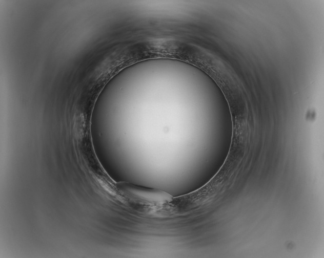 X0000097600752200803071429