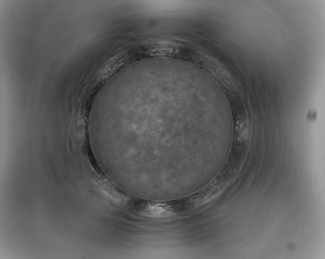 X0000097600753200803071429