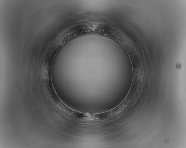 X0000097600754200803071429