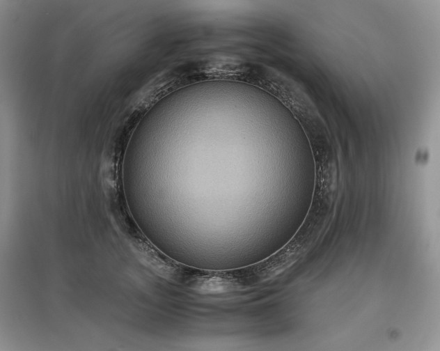 X0000097600755200803071429