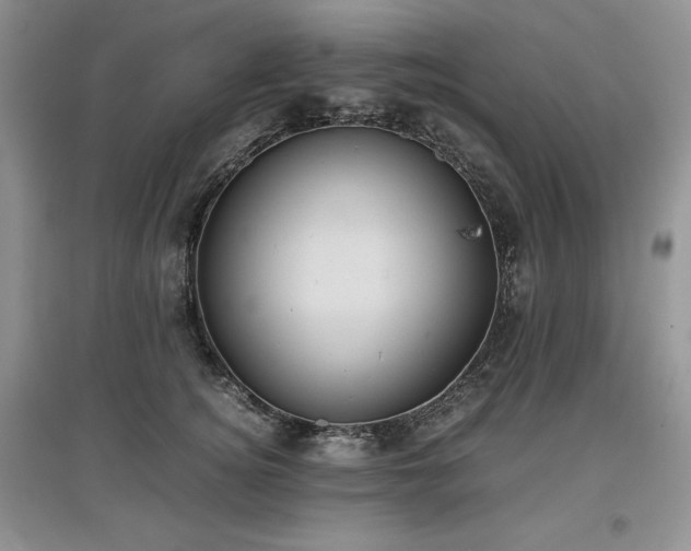 X0000097600756200803071429