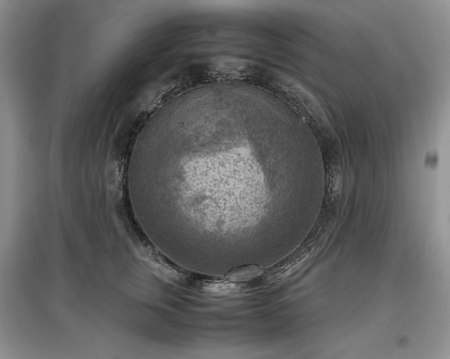 X0000097600759200803071429