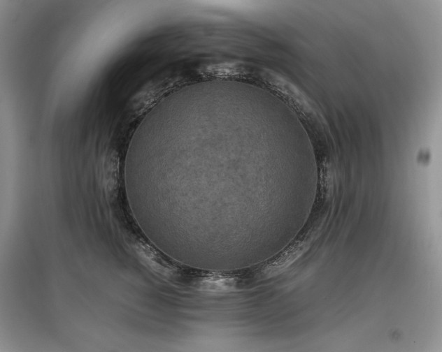 X0000097600760200803071429