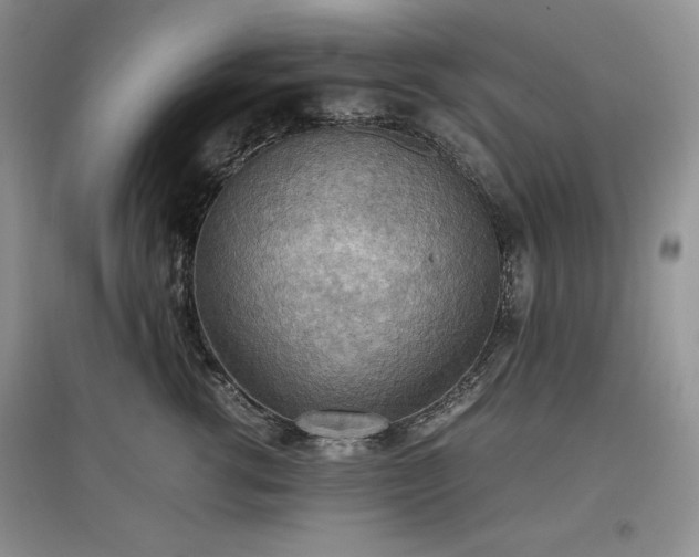 X0000097600762200803071429