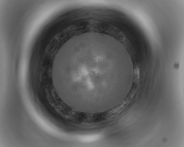 X0000097600765200803071429