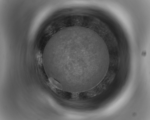 X0000097600766200803071429
