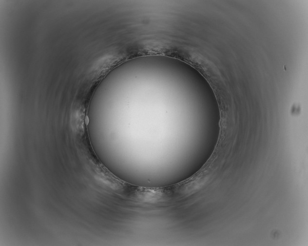 X0000097600768200803071429
