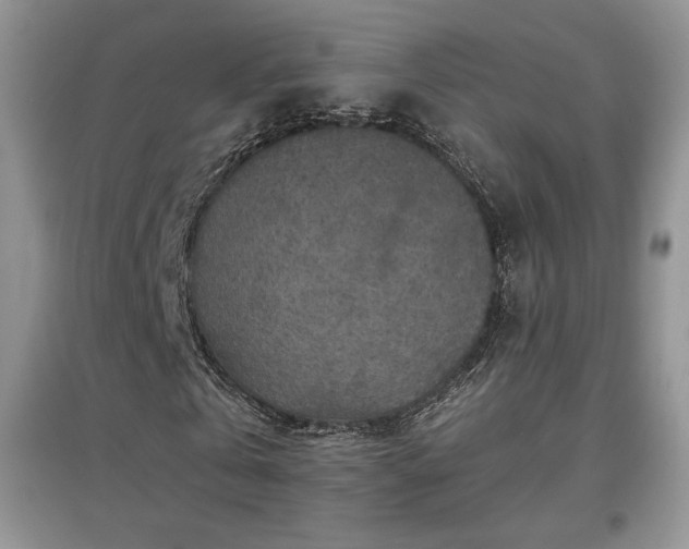 X0000097600769200803071429