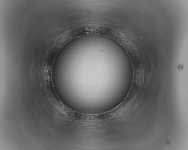 X0000097600770200803071429