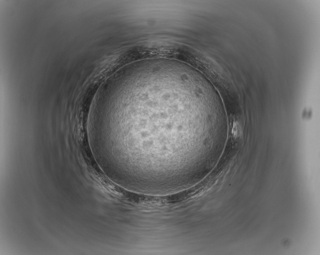 X0000097600771200803071429