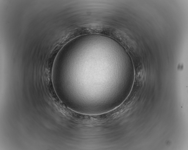 X0000097600772200803071429