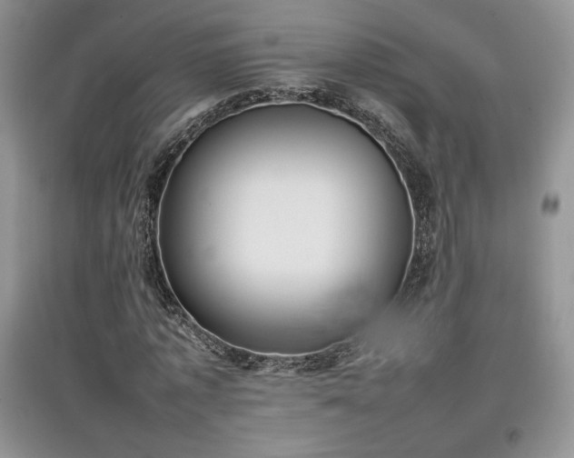 X0000097600773200803071429
