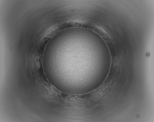 X0000097600774200803071429