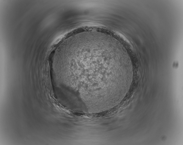 X0000097600775200803071429