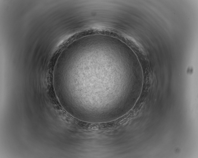 X0000097600776200803071429
