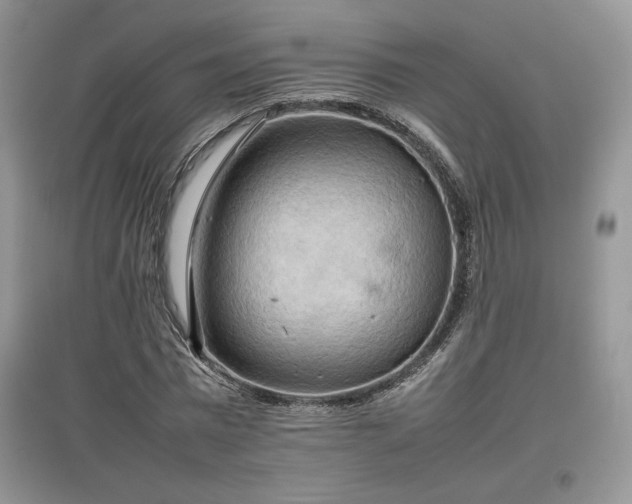 X0000097600777200803071429