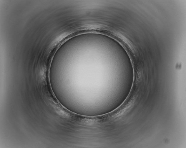 X0000097600778200803071429