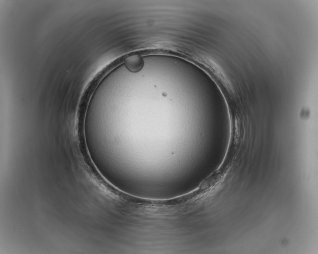 X0000097600780200803071429