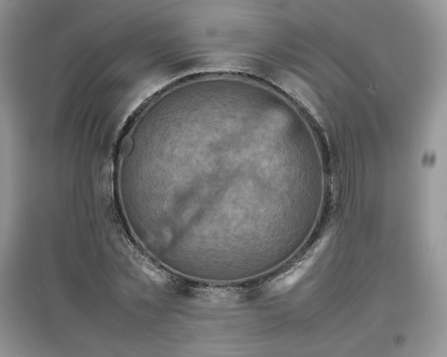 X0000097600781200803071429