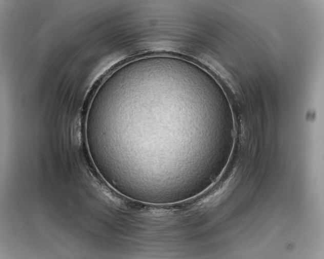 X0000097600782200803071428