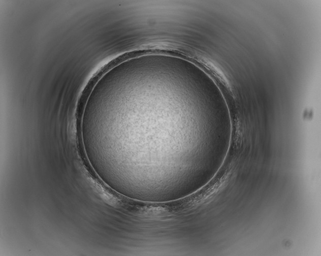X0000097600784200803071428