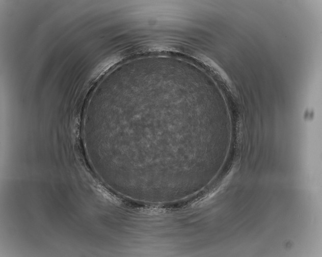 X0000097600785200803071428