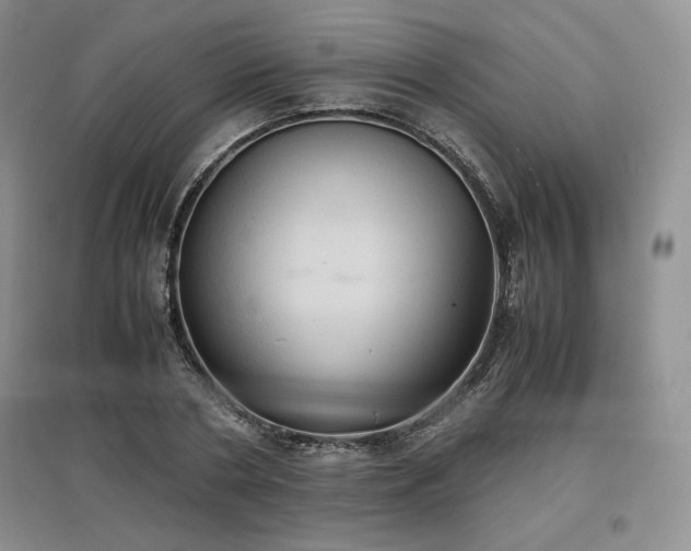 X0000097600786200803071428