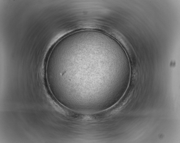 X0000097600787200803071428