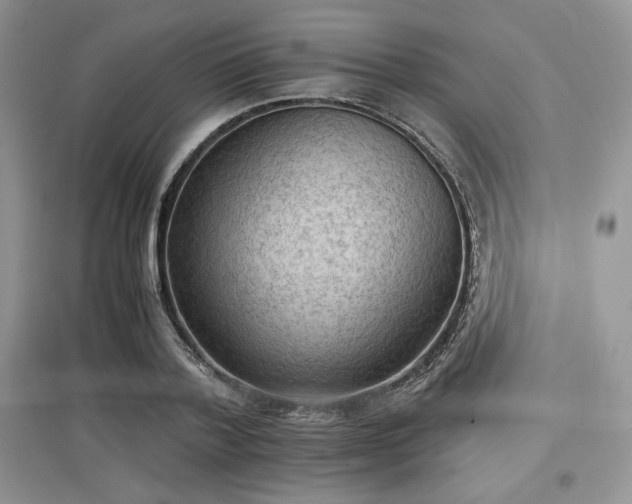 X0000097600788200803071428