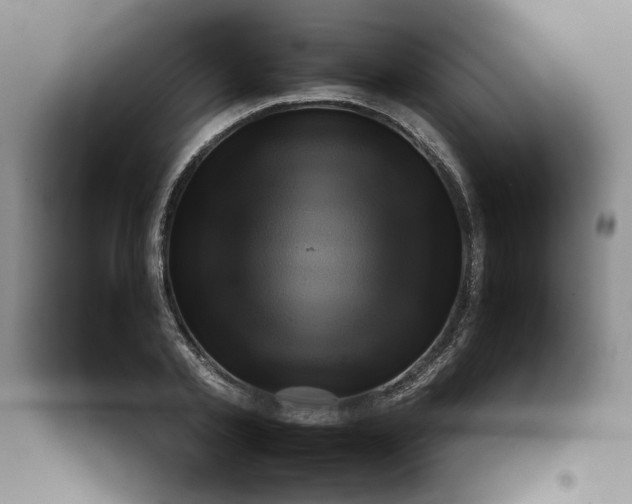X0000097600789200803071428