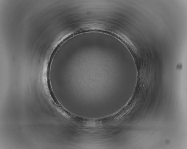 X0000097600790200803071428