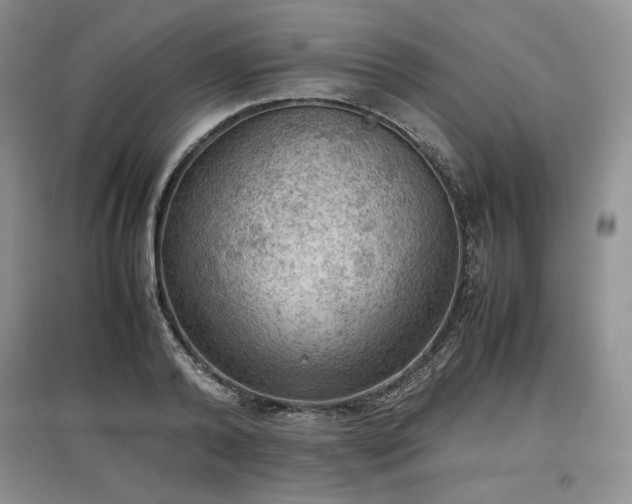 X0000097600792200803071428