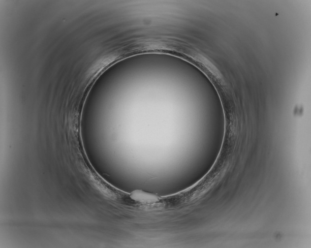 X0000097600793200803071428