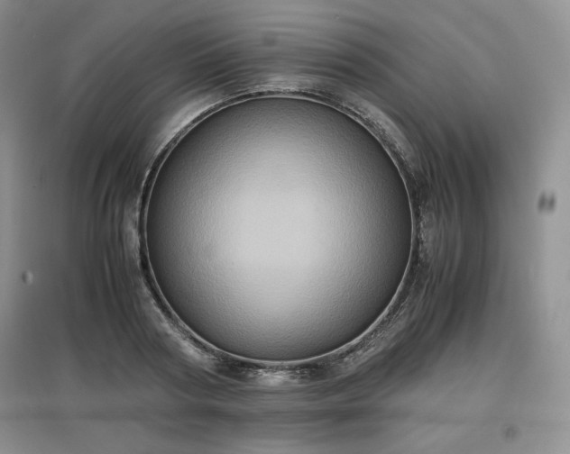 X0000097600794200803071428