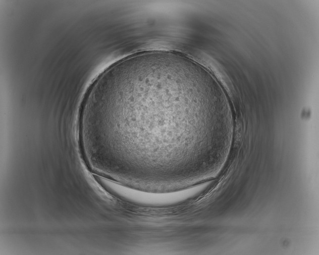 X0000097600795200803071428