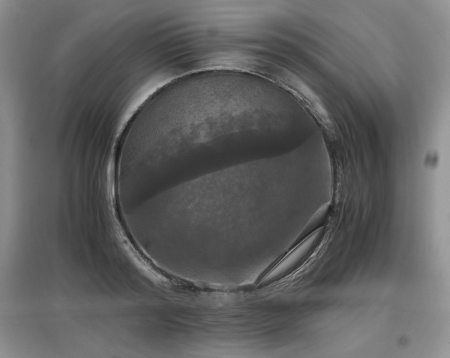 X0000097600796200803071428