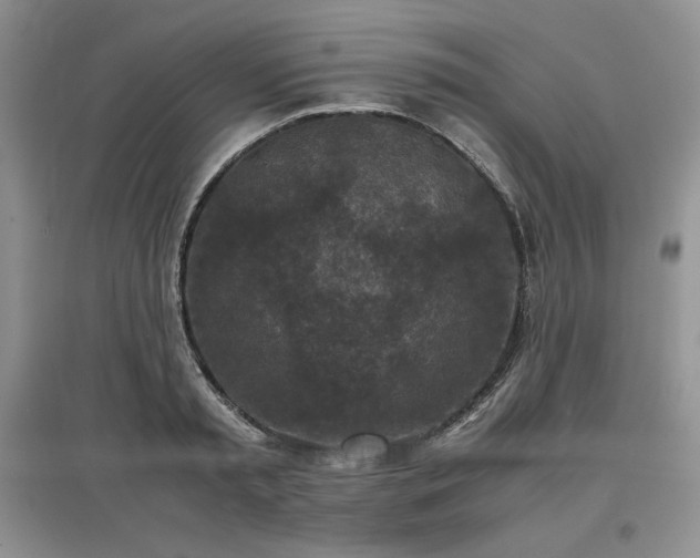 X0000097600797200803071428