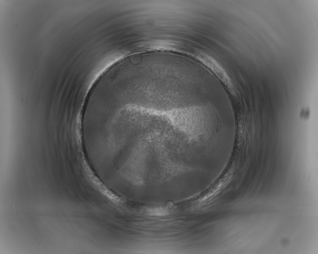 X0000097600798200803071428