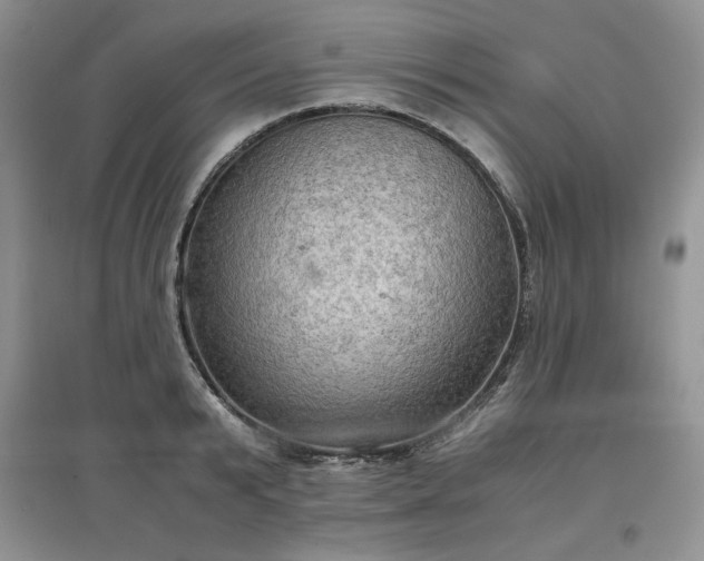 X0000097600799200803071428