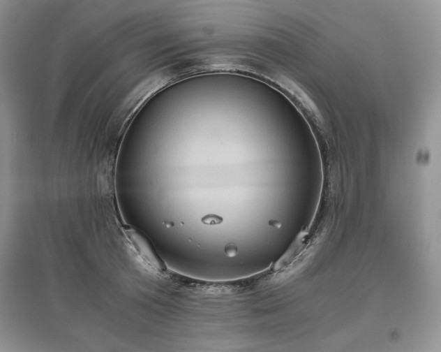 X0000097600801200803071428