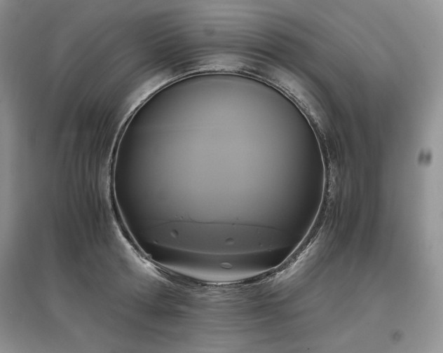 X0000097600802200803071428