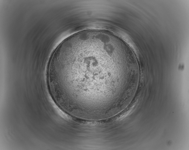 X0000097600803200803071428