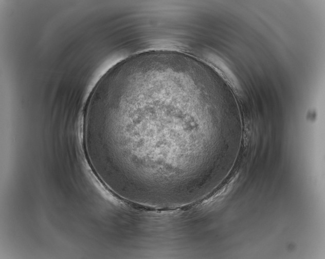 X0000097600804200803071428