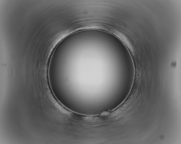 X0000097600805200803071428