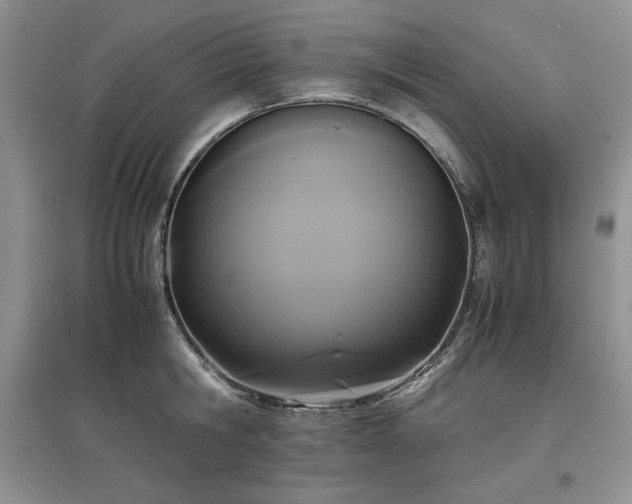 X0000097600806200803071428
