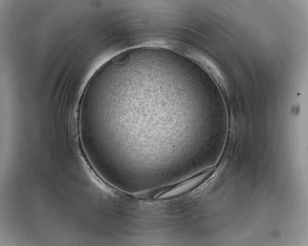 X0000097600808200803071428