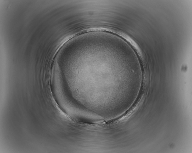 X0000097600809200803071428