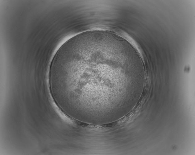 X0000097600811200803071428