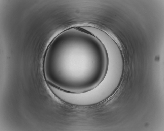 X0000097600813200803071428