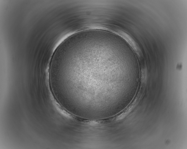 X0000097600814200803071428